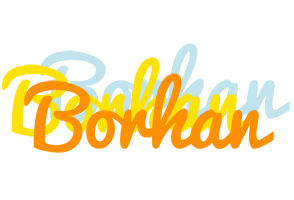 Borhan energy logo