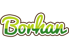 Borhan golfing logo