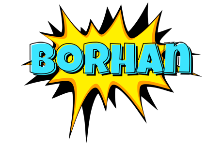 Borhan indycar logo