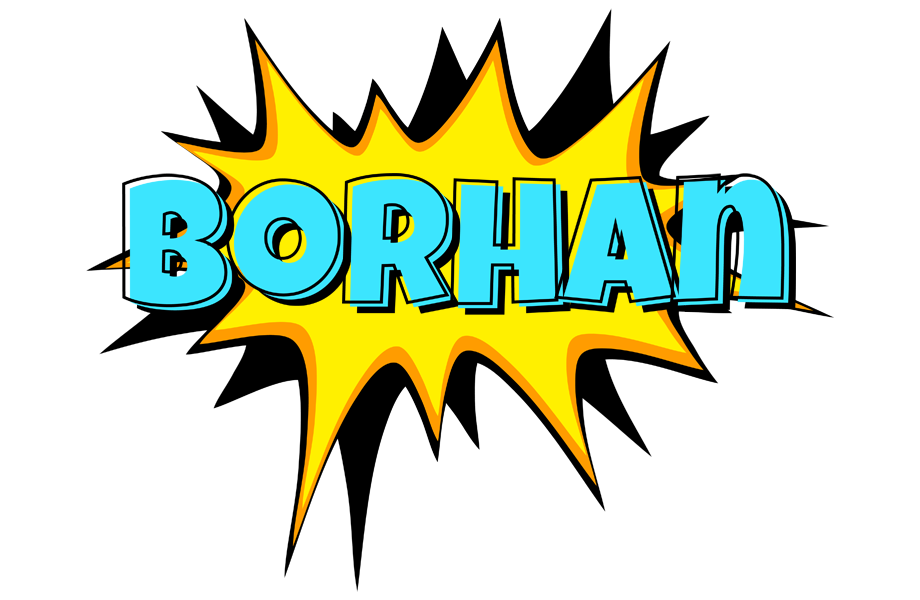Borhan indycar logo