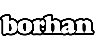 Borhan panda logo