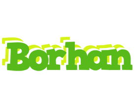 Borhan picnic logo