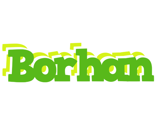 Borhan picnic logo