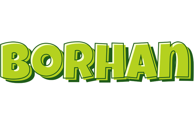 Borhan summer logo