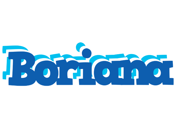 Boriana business logo
