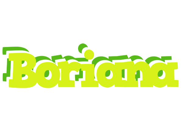Boriana citrus logo