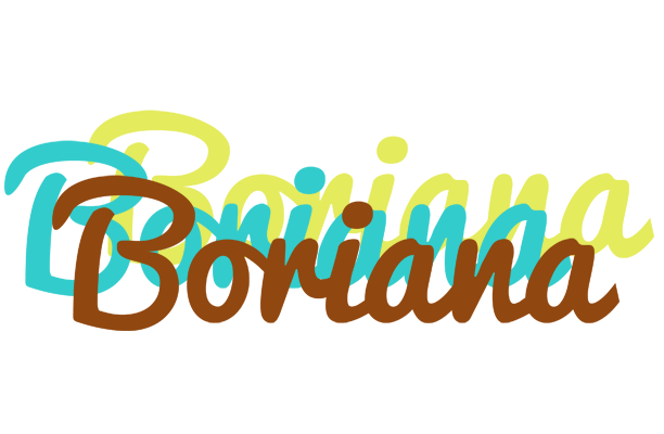 Boriana cupcake logo