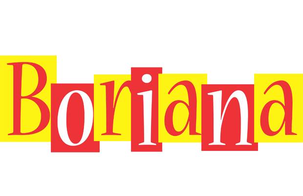 Boriana errors logo