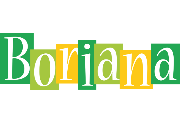 Boriana lemonade logo