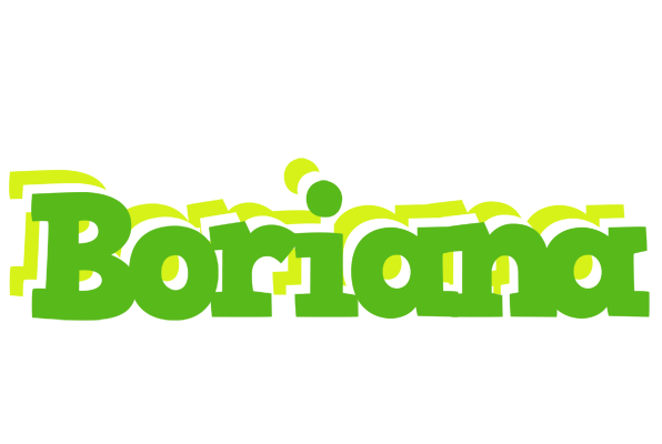 Boriana picnic logo