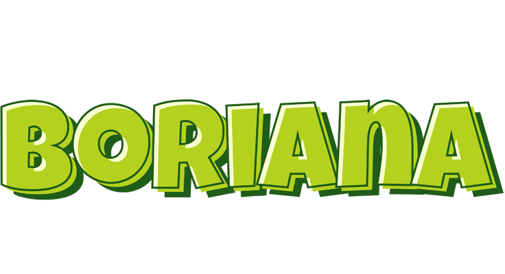Boriana summer logo