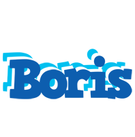 Boris business logo