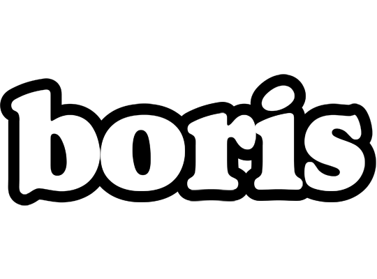 Boris panda logo
