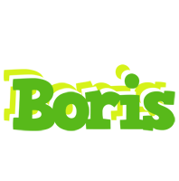 Boris picnic logo