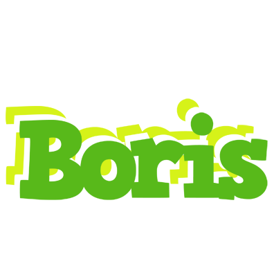 Boris picnic logo