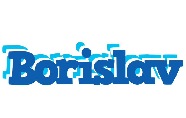 Borislav business logo