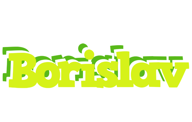 Borislav citrus logo