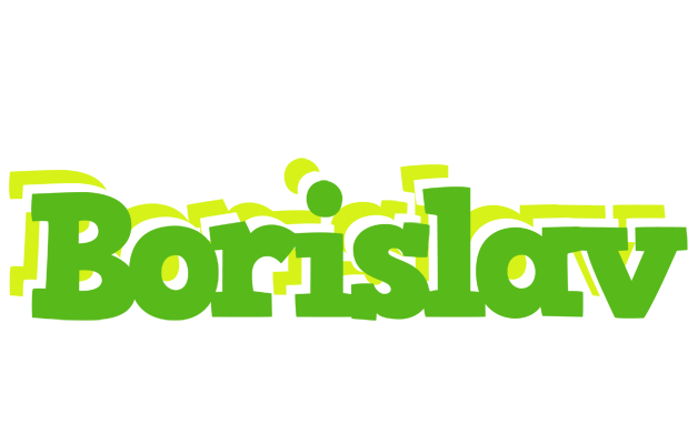 Borislav picnic logo