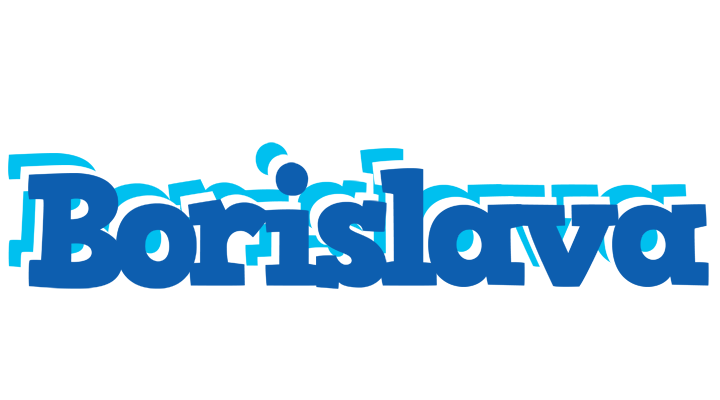 Borislava business logo