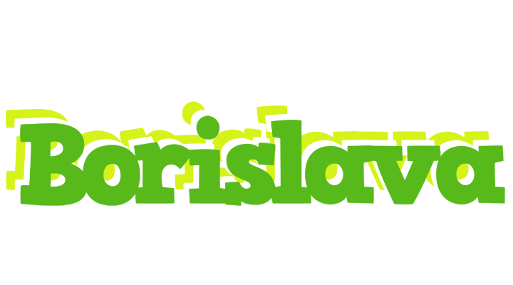 Borislava picnic logo