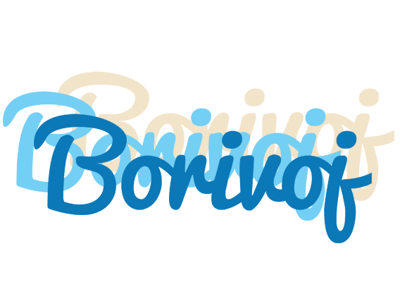 Borivoj breeze logo