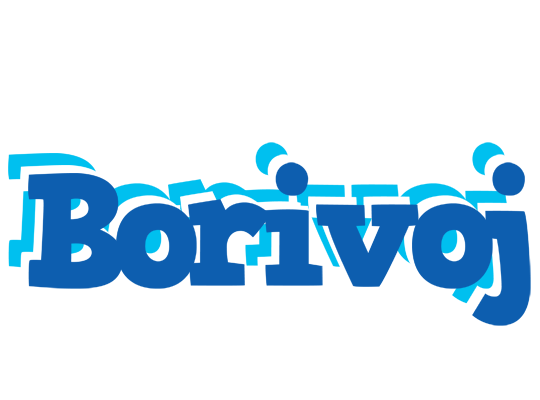 Borivoj business logo