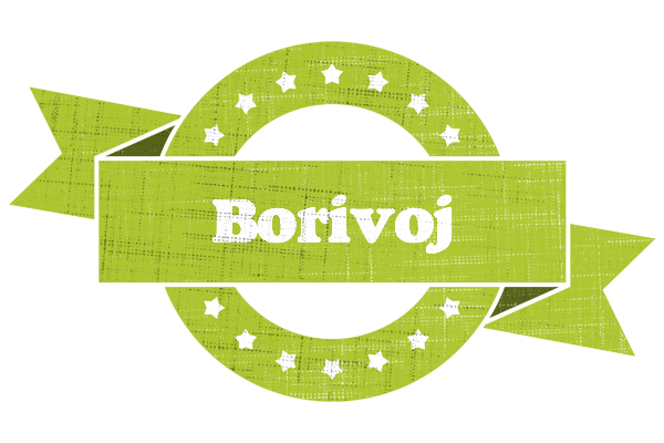Borivoj change logo