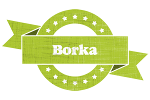 Borka change logo