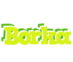 Borka citrus logo