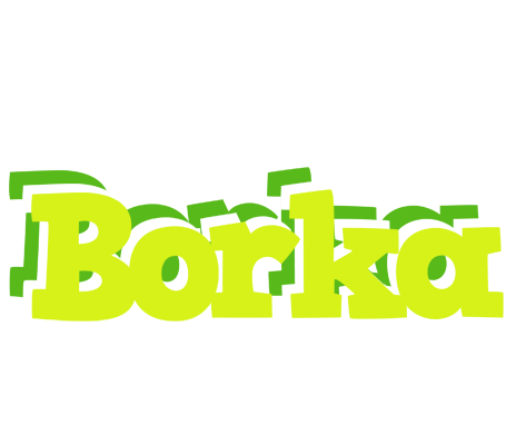 Borka citrus logo