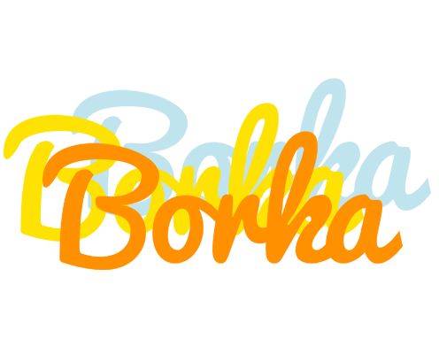 Borka energy logo