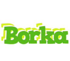 Borka picnic logo