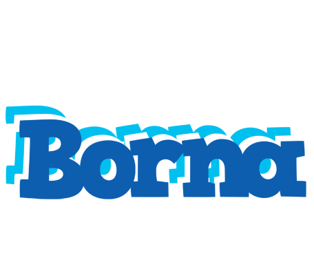Borna business logo