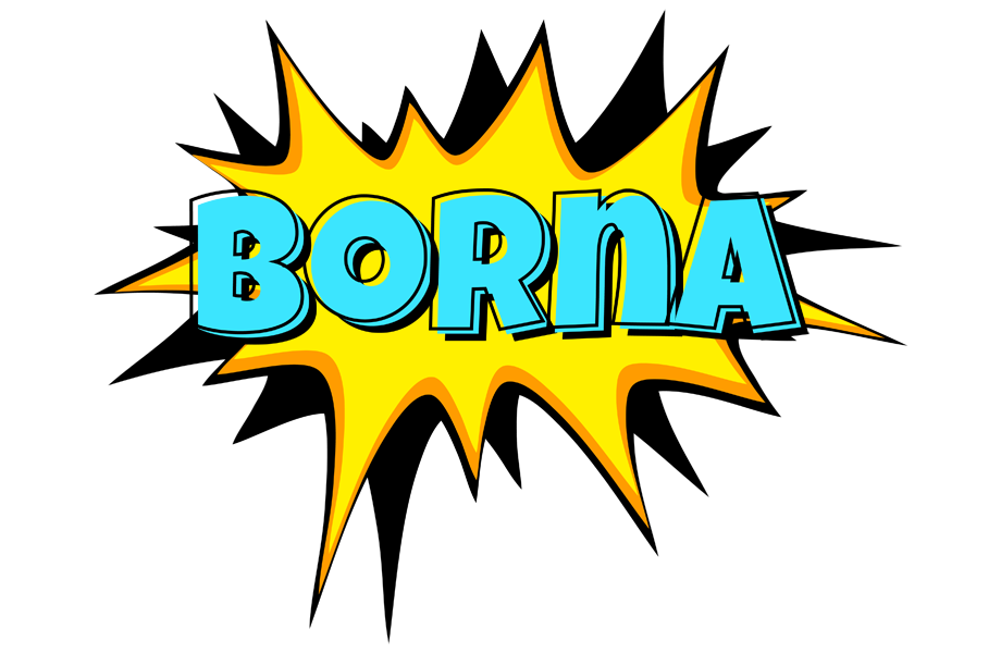Borna indycar logo