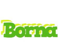 Borna picnic logo