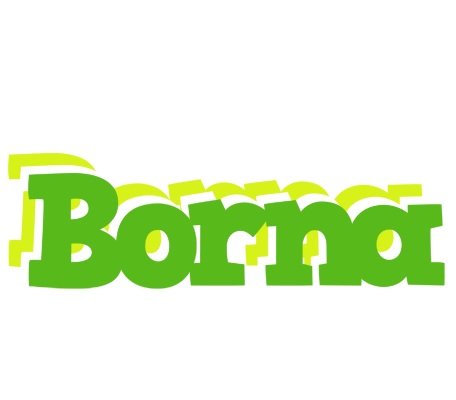 Borna picnic logo