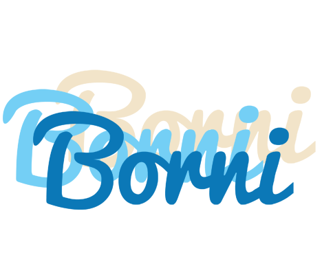 Borni breeze logo