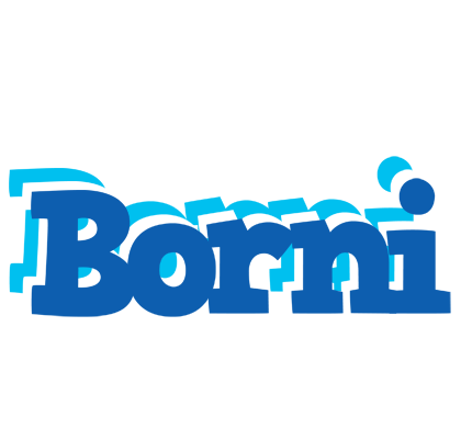 Borni business logo