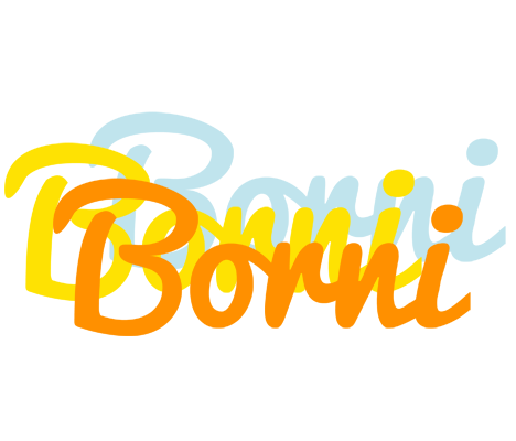 Borni energy logo