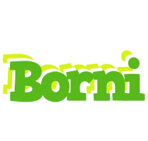 Borni picnic logo