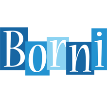 Borni winter logo