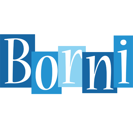 Borni winter logo