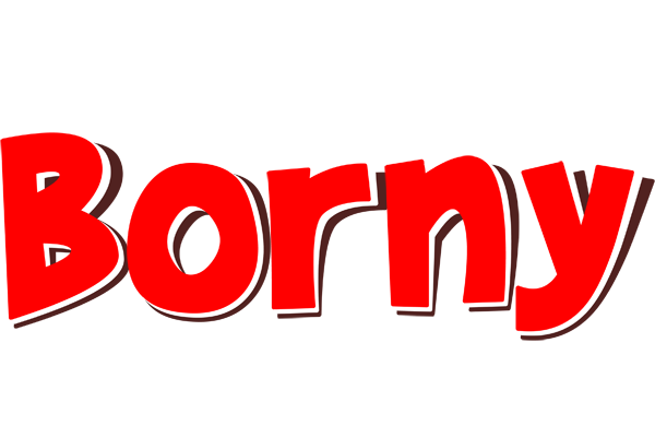 Borny basket logo
