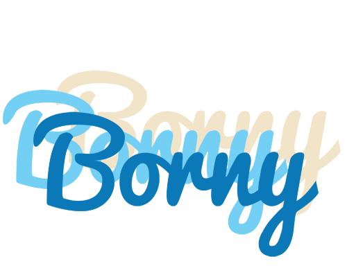 Borny breeze logo