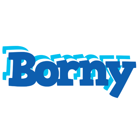 Borny business logo