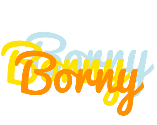 Borny energy logo