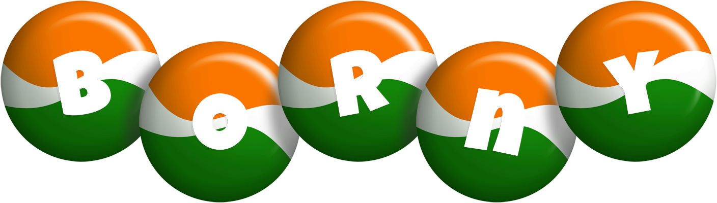 Borny india logo