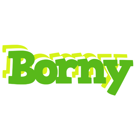 Borny picnic logo