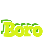 Boro citrus logo