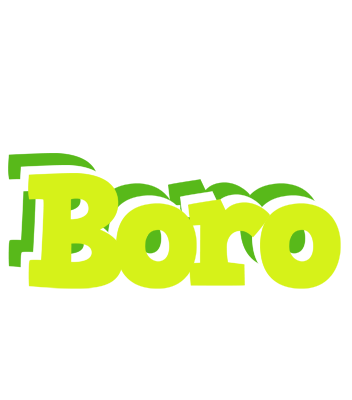 Boro citrus logo